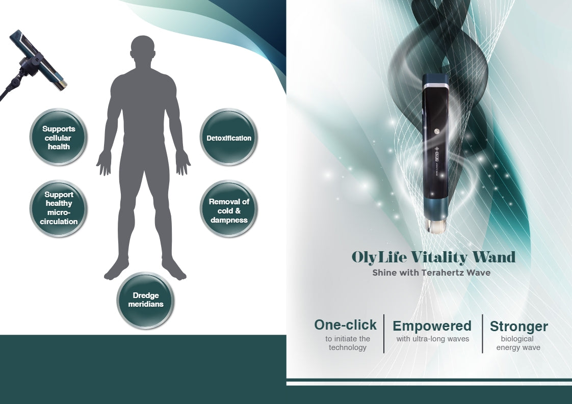 OlyLife 健康养护仪